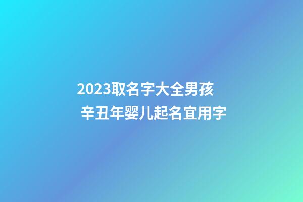 2023取名字大全男孩 辛丑年婴儿起名宜用字